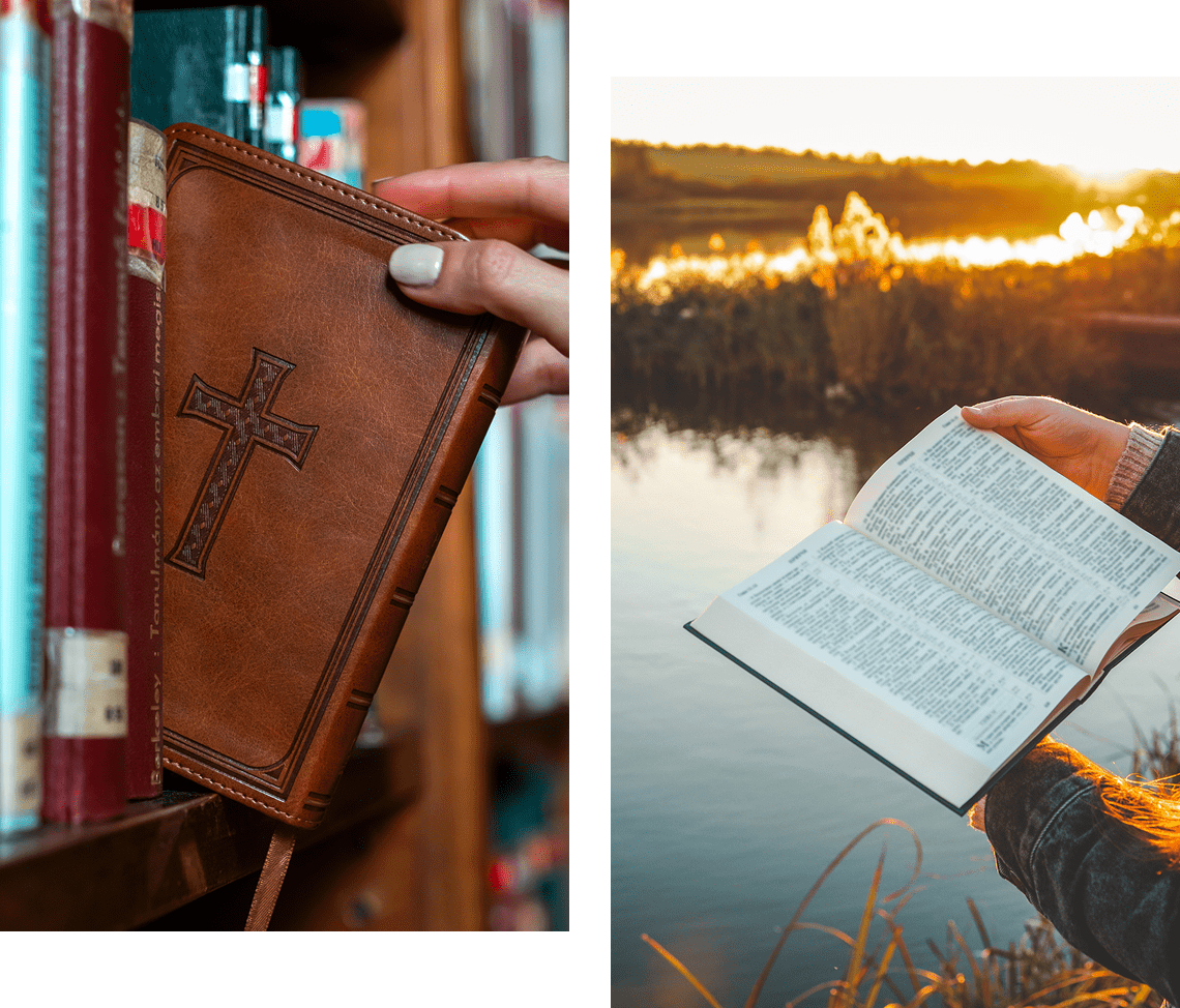 Person reading by the water
