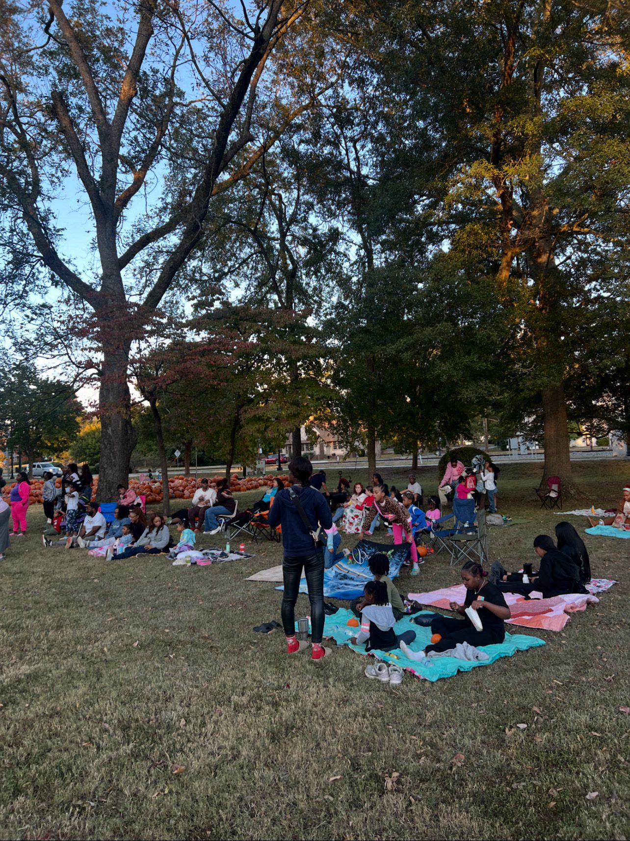 People enjoying a picnic in a park during late afternoon.