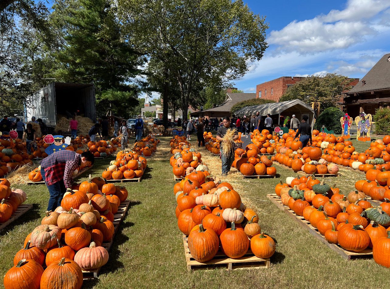 Rows of pumpkins on display outdoors under a partly cloudy sky.
